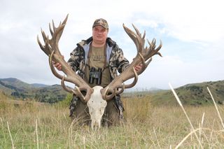 Red Stag Gallery